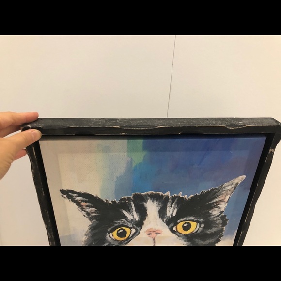Urban Barn Printed Cat on Canvas Frame - Picture 2 of 7